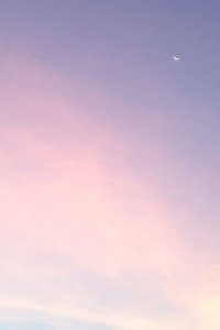 斯佩齐亚表现出色，球队重新振作