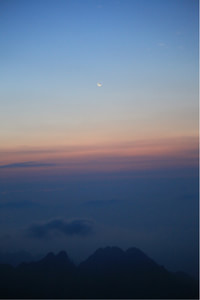 球场情绪高涨，团队协作完成完美逆袭