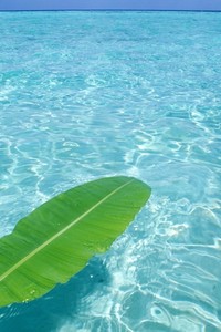 西昂深夜逆转，客场斩获关键三分