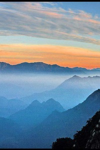 尼斯队资深球员复出，助球队主场赢得宝贵三分