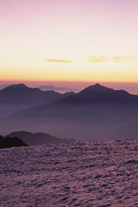 上港击败国安，领先优势扩大