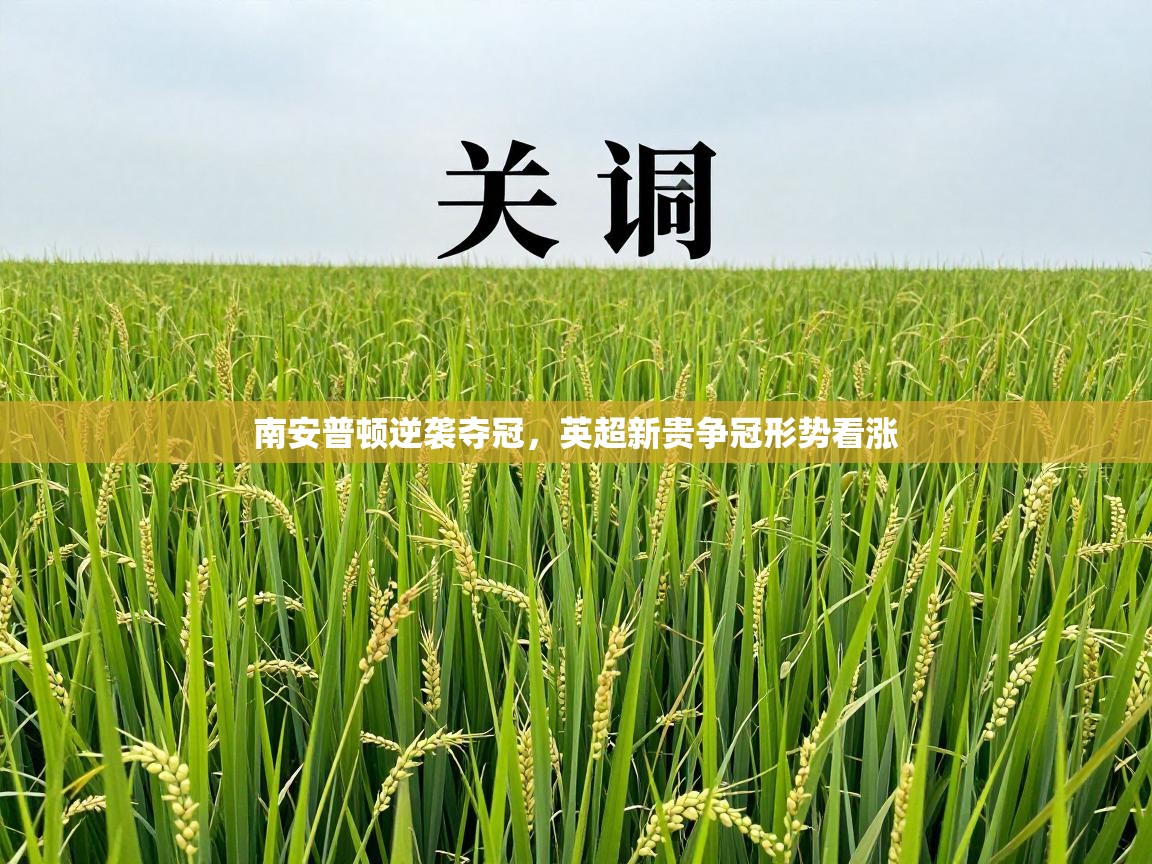 南安普顿逆袭夺冠，英超新贵争冠形势看涨  第2张